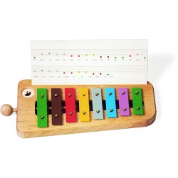 Xylophon Glockenspiel mit Farbsystem