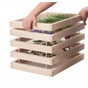 Multi Tier Herb & Spice Drying Rack